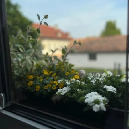 Ferienwohnung Im Thuringer Wald